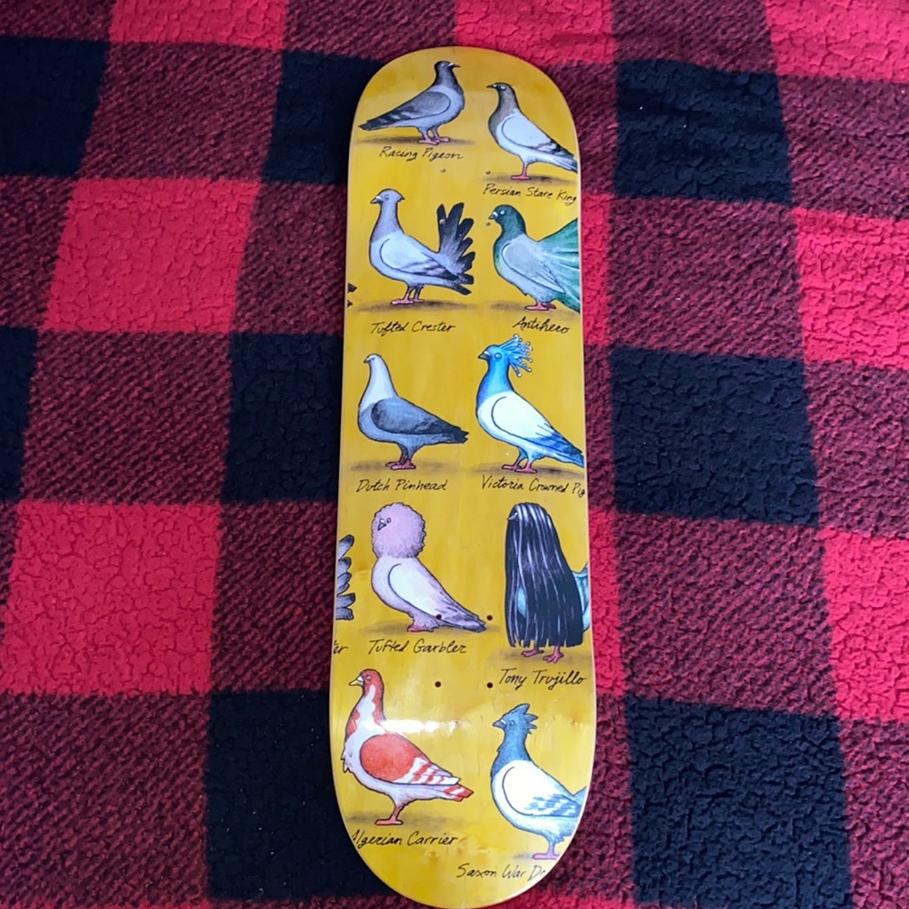 Anti hero 8.5 tony Trujillo deck never skated